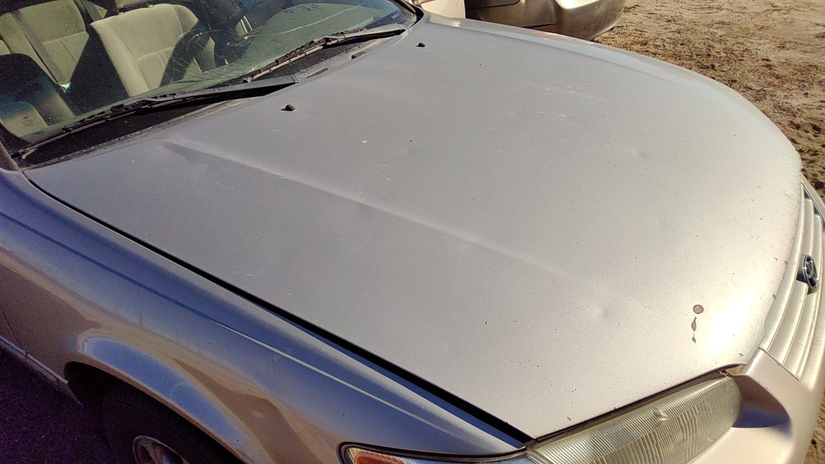 1998 Toyota Camry Hood