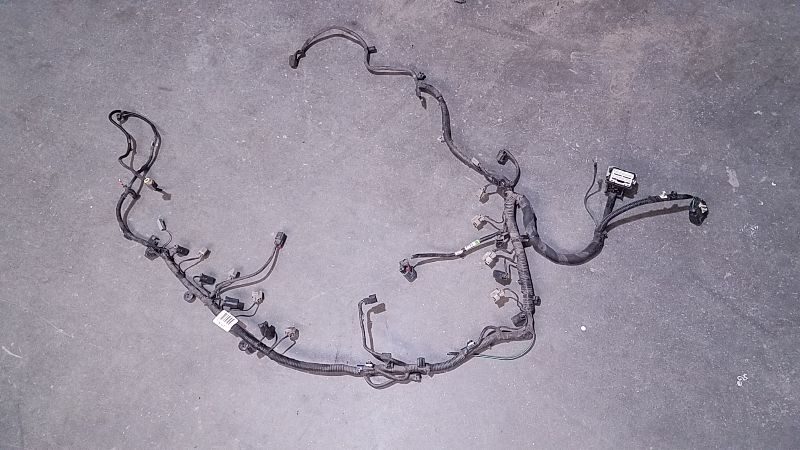 2013 Expedi Wire Harness (engine)