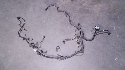 2013 Expedi Wire Harness (engine)