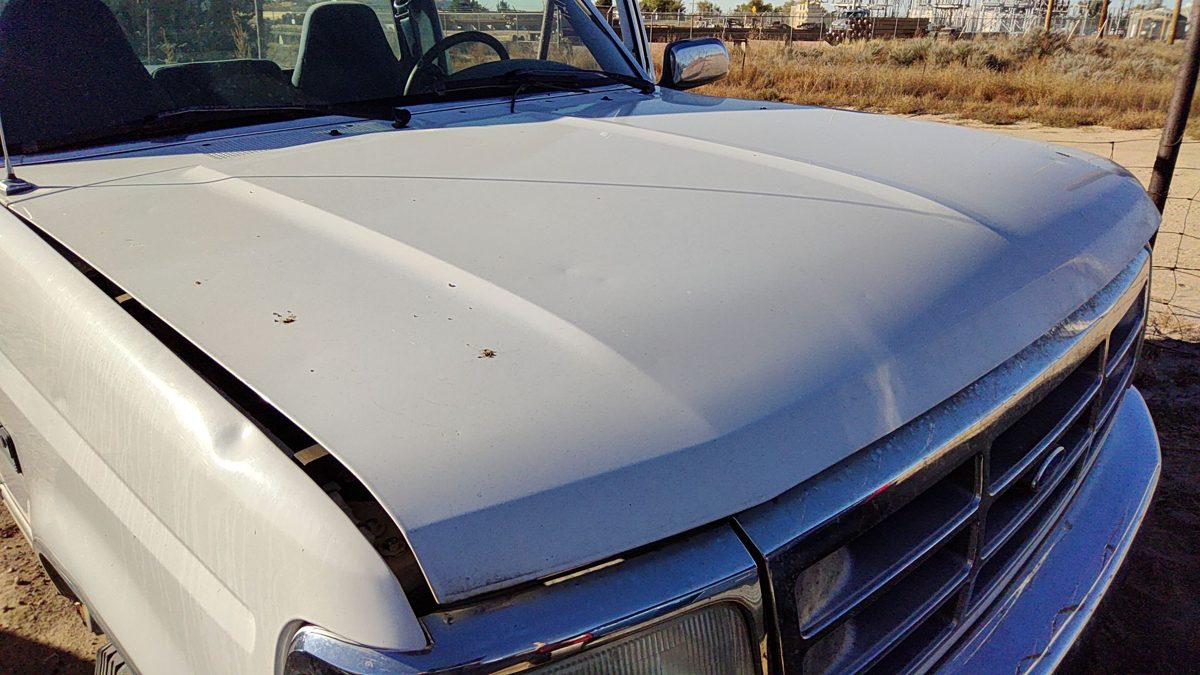 1995 Ford Pickup F150 Hood
