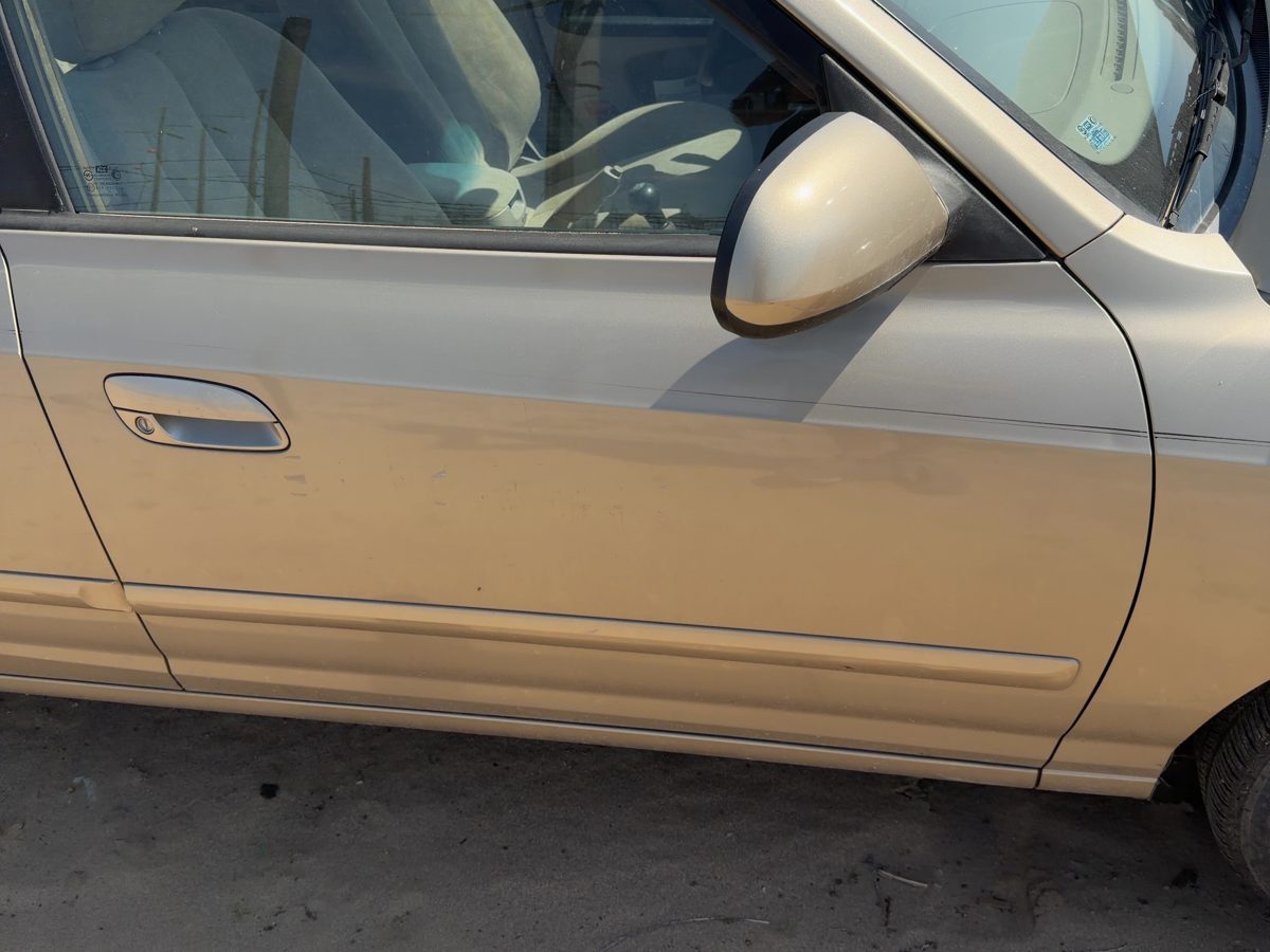 2002 Hyundai Elantra Front Door