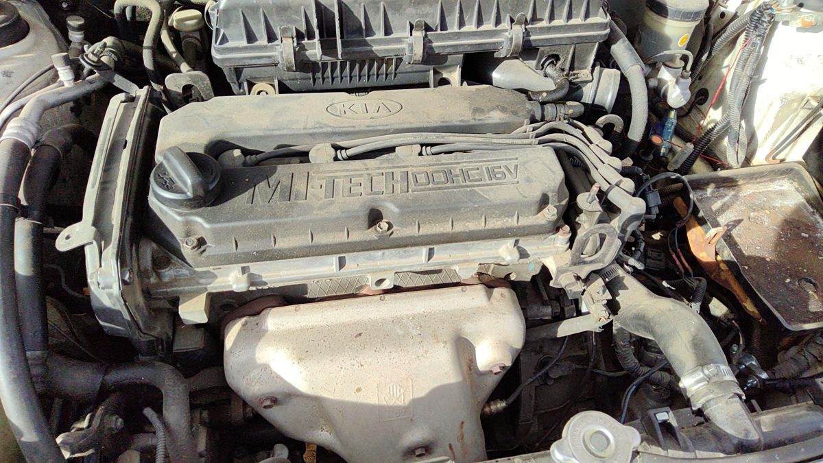 2002 Kia Rio Cylinder Head