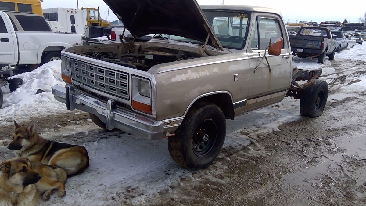 1983 Dodge Pickup 350 Wheel