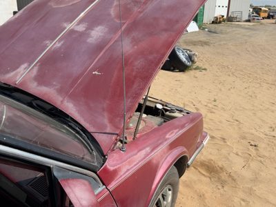 1988 Olds 88 Radio Antenna Mast Oem