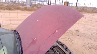 1998 Saturn S Series Hood