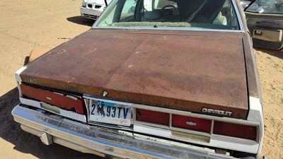 1979 Chevy Full Size Trunk/decklid/hatch/tailgate