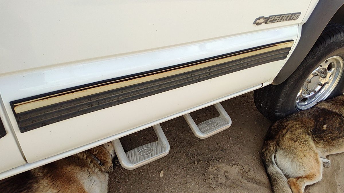 99-02 Silverado 2500 Hd Passenger Right Front Moulding From Door Trim Strip