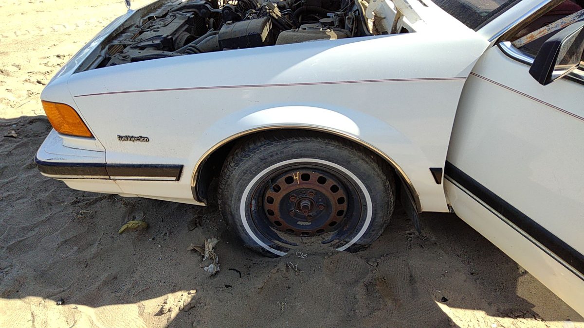 1989 Buick Century Fender