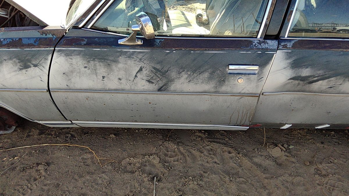 1979 Chevy Full Size Front Door