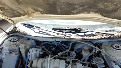 2004 Pontiac Grand Prix Windshield Wiper Cowl Vent Trim Panel Oem Cover