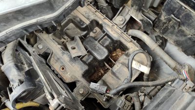 16-18 Hyundai Tucson Complete Battery Box Mount Tray With Hold Down 1.6L Turbo