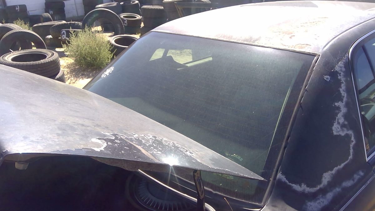 1993 Buick Park Ave Back Glass/window