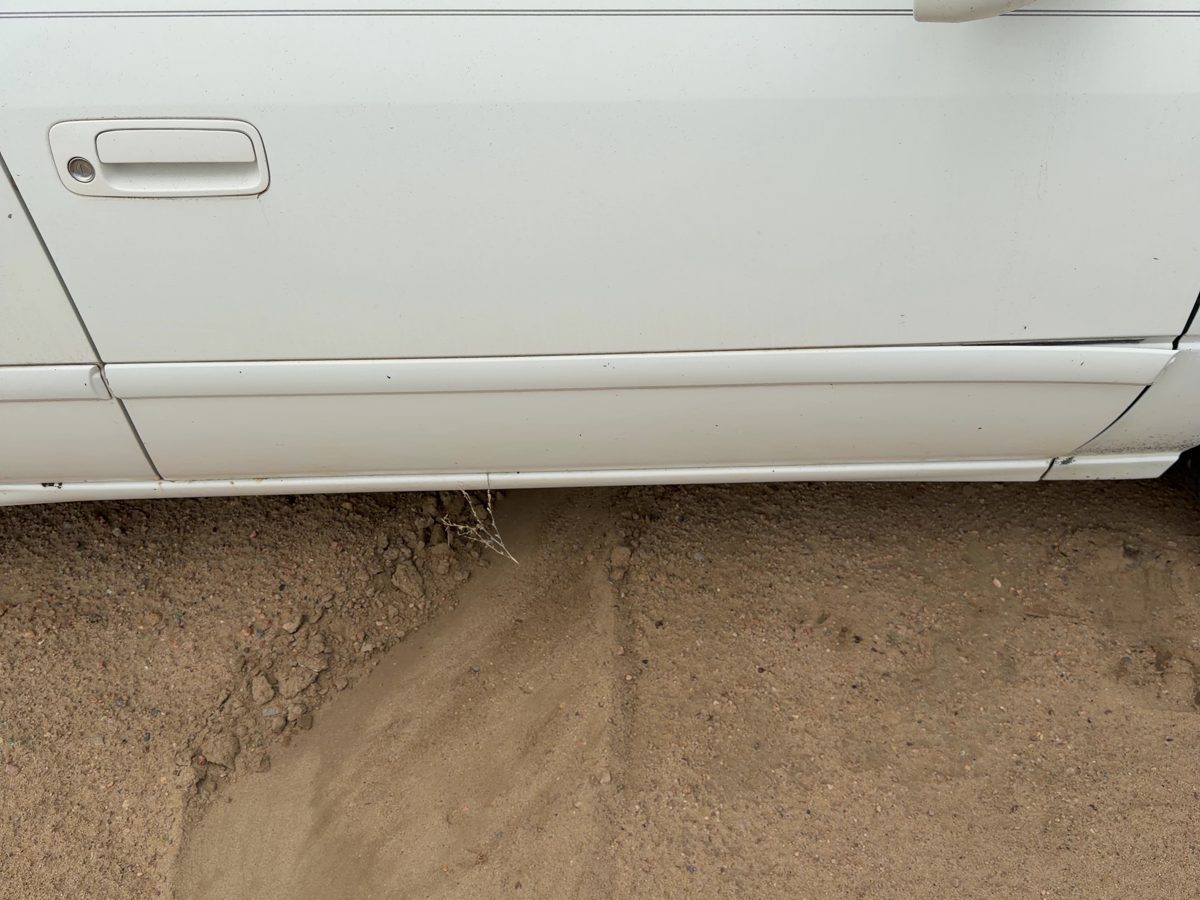2000 Toyota Camry Front Door Moulding