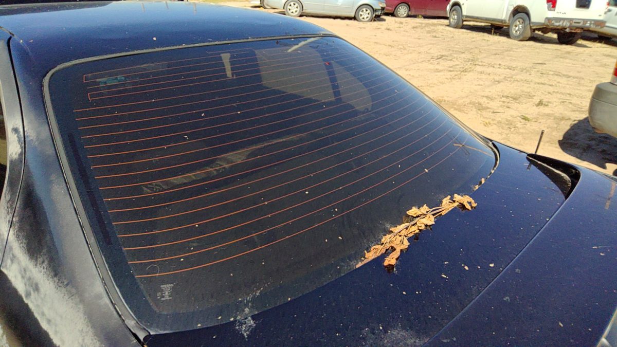 2002 Infiniti G20 Back Glass/window