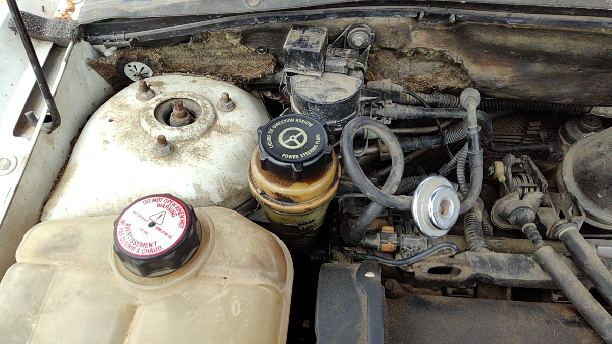 2000 01 Focus Station Wagon Power Steering Fluid Remote Reservoir Tank 2.0L Dohc