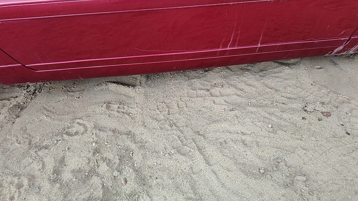 95-02 Eldorado Driver Left Front Lower Moulding From Door Trim Crimson Red 86U