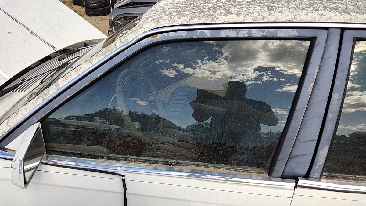 1982-1989 Olds Ciera Driver Left Front Side Window Door Glass Oem 20643722