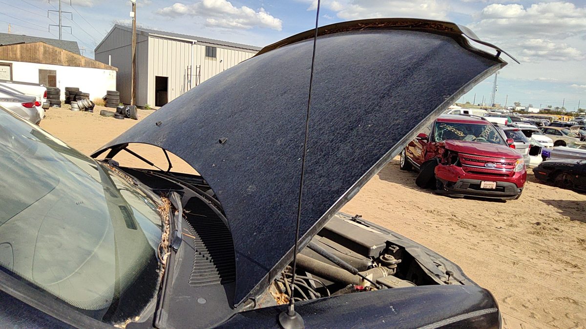 1997 Ford Pickup F150 Hood