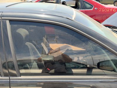 1995-1999 Nissan Maxima Passenger Right Front Side Window Door Glass Oem