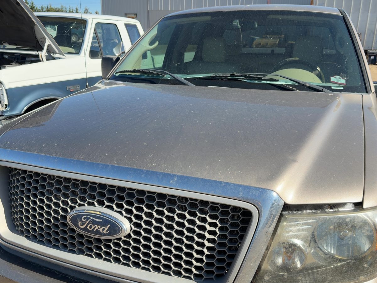 2004 Ford Pickup F150 Hood