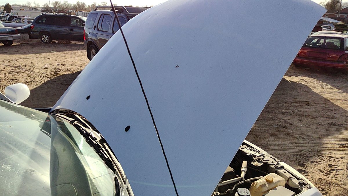 2002 Nissan Sentra Hood