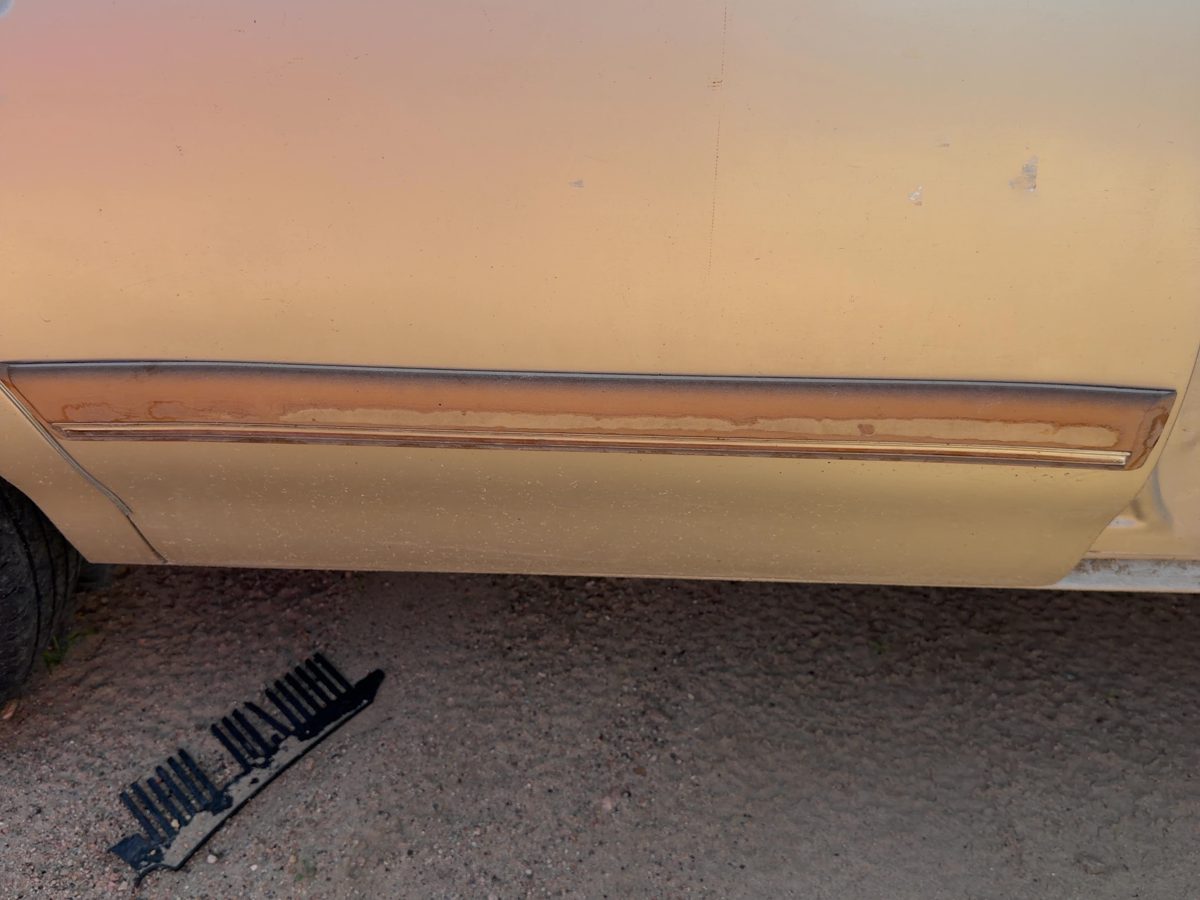1993 Buick Century Rear Door Moulding