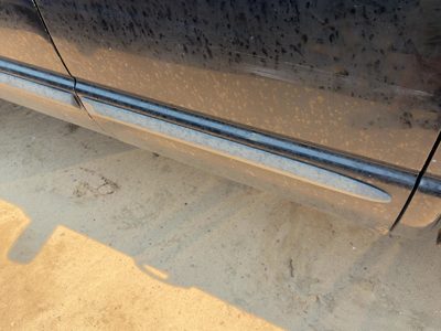 2002 Dodge Pickup 1500 Rear Door Moulding