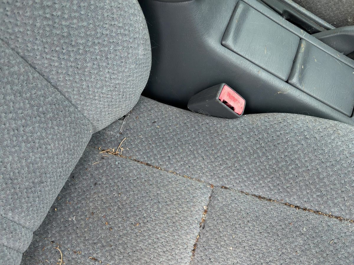 2000 Toyota Camry Front Seat Belt