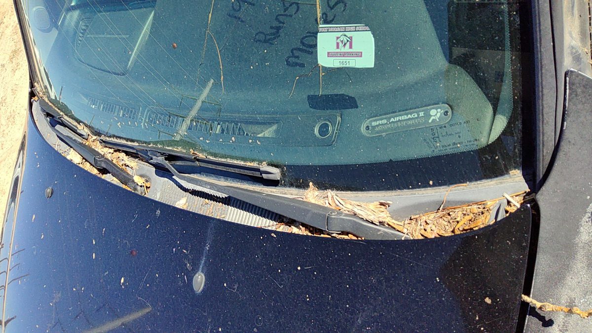 2002 Infiniti G20 Windshield Wiper Cowl Vent Trim Panel Oem Cover