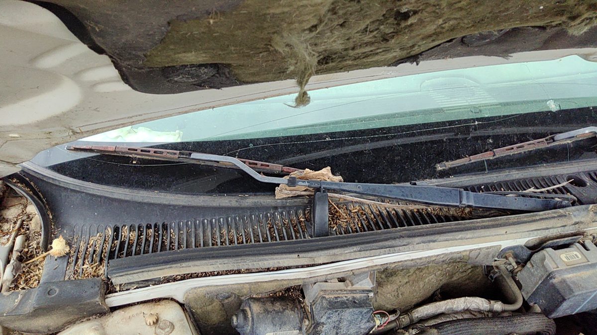 1997-2005 Buick Park Ave Passenger Right Windshield Wiper Arm Oem Blade Lever