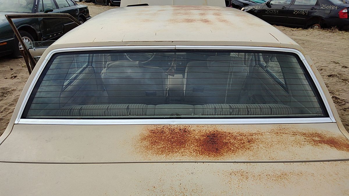 1981-1983 Chevy Malibu Back Glass Rear Window Oem 4 Door 20146810
