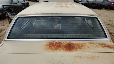 1981-1983 Chevy Malibu Back Glass Rear Window Oem 4 Door 20146810