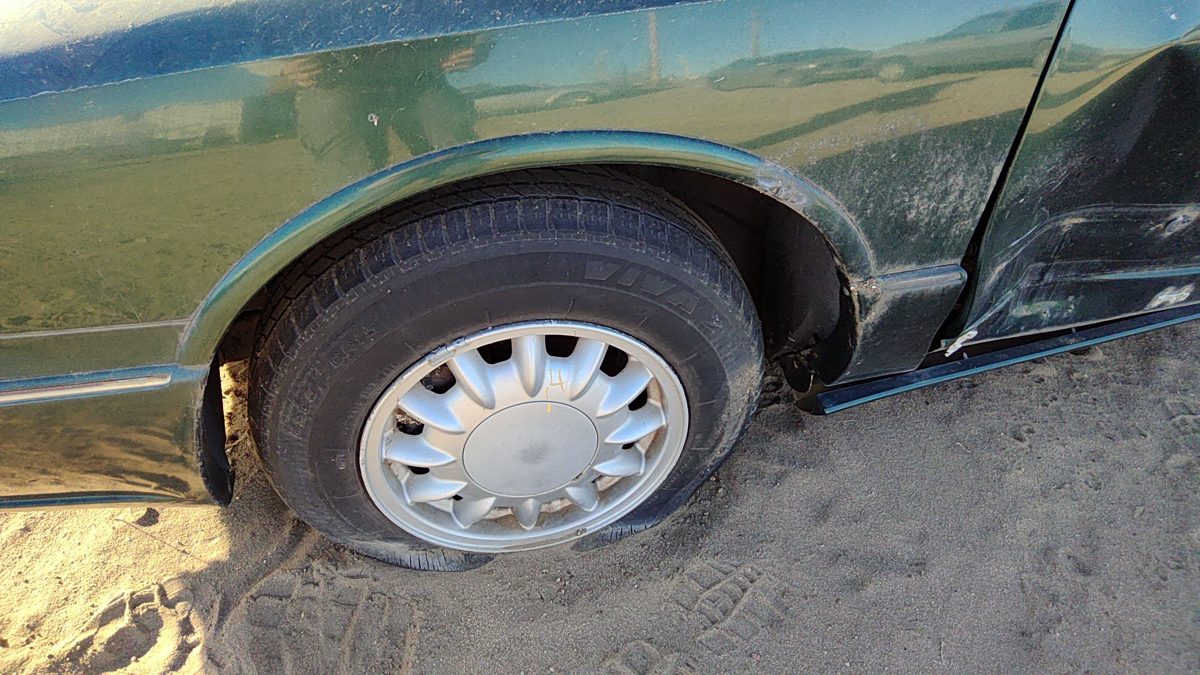 1996-1999 Olds 88 Driver Left Moulding From Fender Oem Trim Strip Green