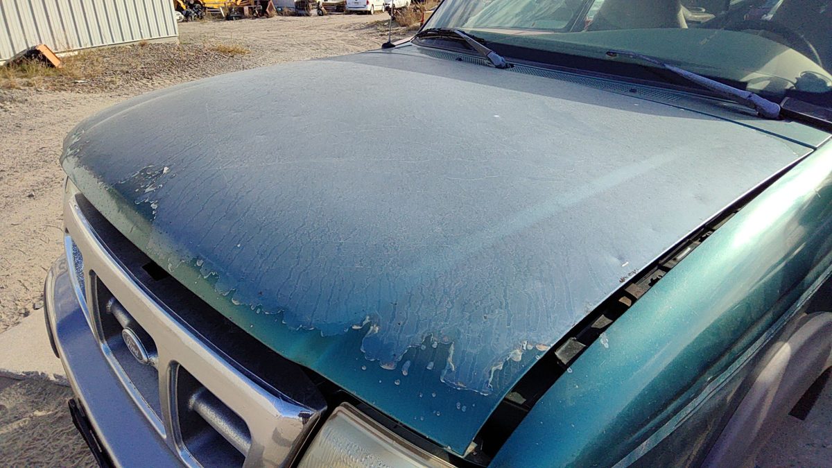 1998 Ford Ranger Hood