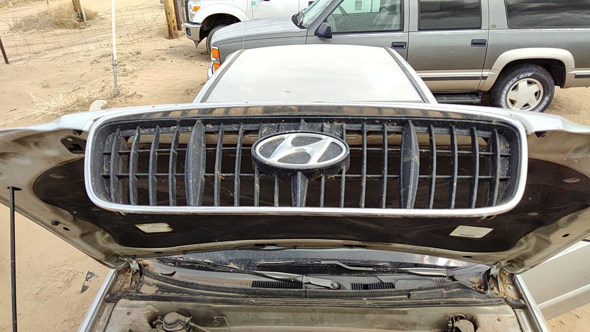 2001-2003 Hyundai Elantra Front Grille Oem Chrome