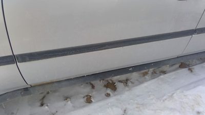 1996-2000 Honda Civic Driver Left Front Moulding From Door Oem Trim Strip