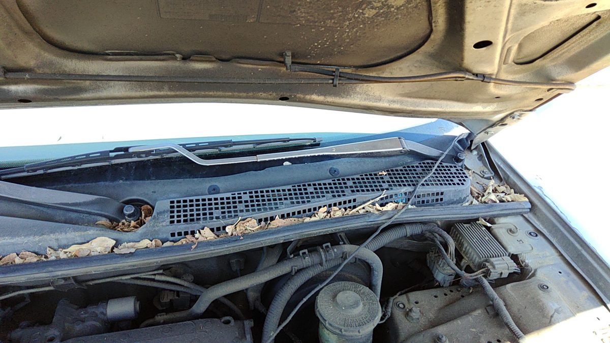 1994-1997 Honda Accord Driver Left Windshield Wiper Arm Oem Blade Lever