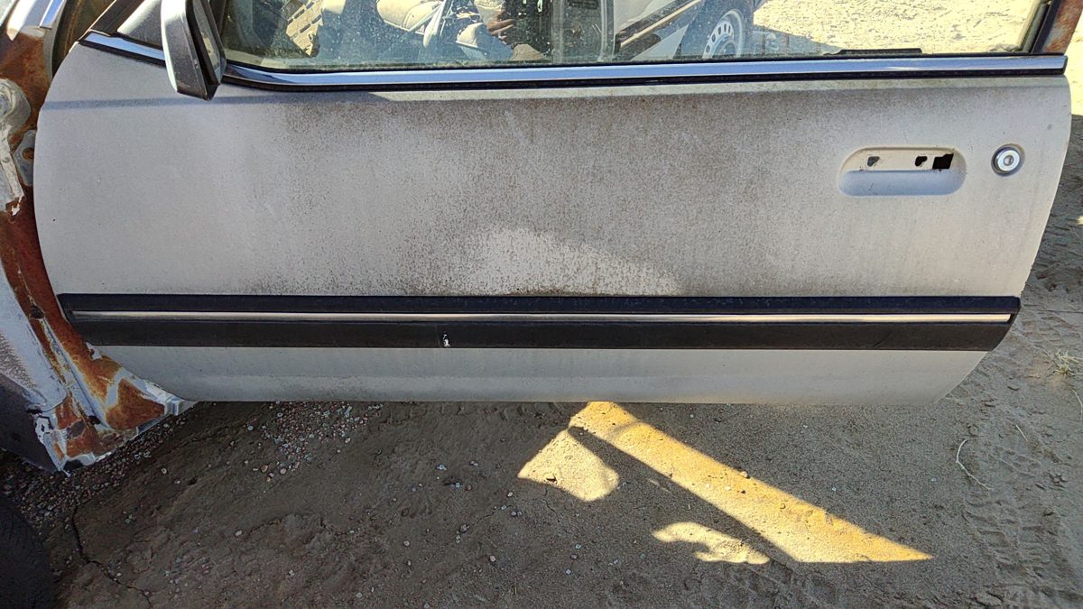 1985 Pontiac Sunbird Driver Left Front Moulding From Door 2Dr Oem Trim Strip