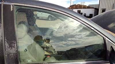 2005-2010 Honda Odyssey Passenger Right Front Side Window Door Glass Oem 7837511