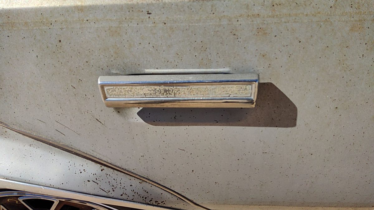 1982 Oldsmobile Firenza Passenger Right Rear Outside Door Handle Oem Back