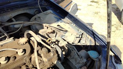98 99 Honda Accord Cruise Control Servo Assembly Module With Cable Oem 2.3L Vtec