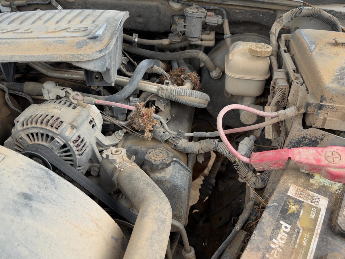 2005-2011 Dodge Dakota Driver Left Cylinder Head Assembly Oem 3.7L 53021941Aa