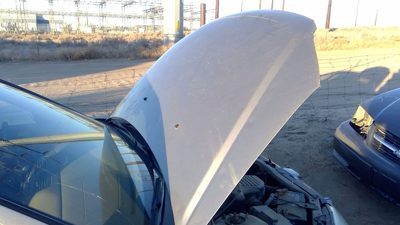 2004 Honda Civic Hood