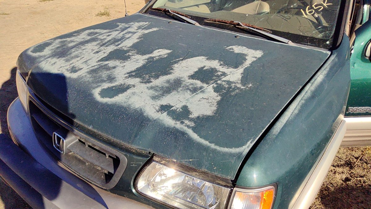 2000 Honda Passport Hood