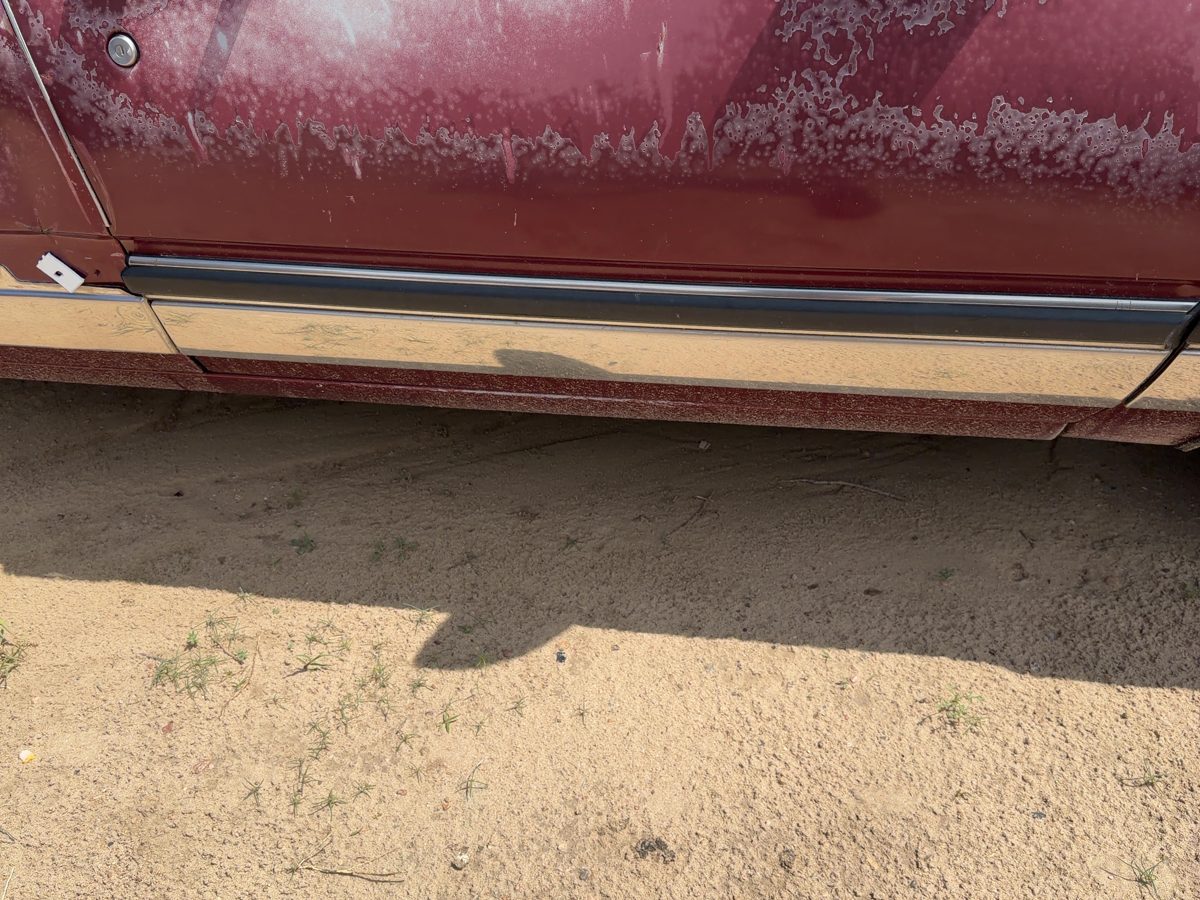 1986 Buick Park Ave Passenger Right Front Moulding From Door Oem Trim Strip