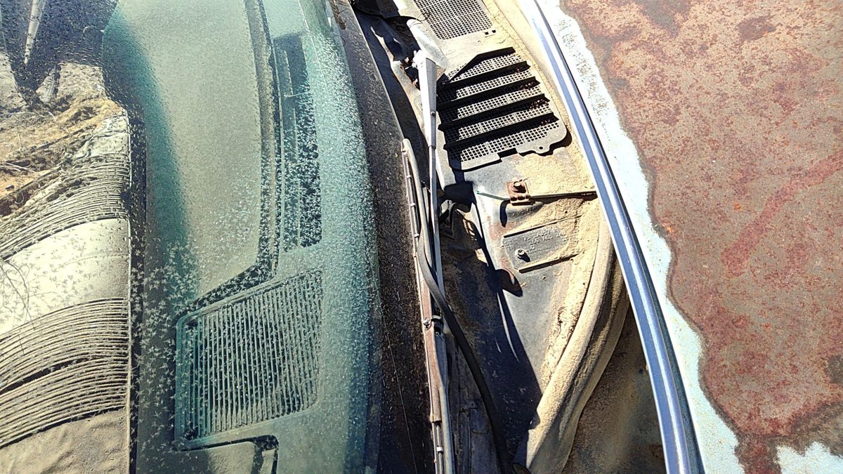 75 Cutlass Supreme Passenger Right Windshield Wiper Arm Blade Lever 2 Door Coupe