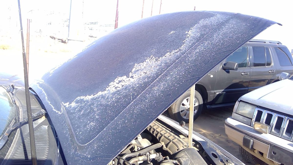 1995 Ford Explorer Hood