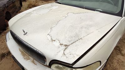 2000 Buick Park Ave Hood