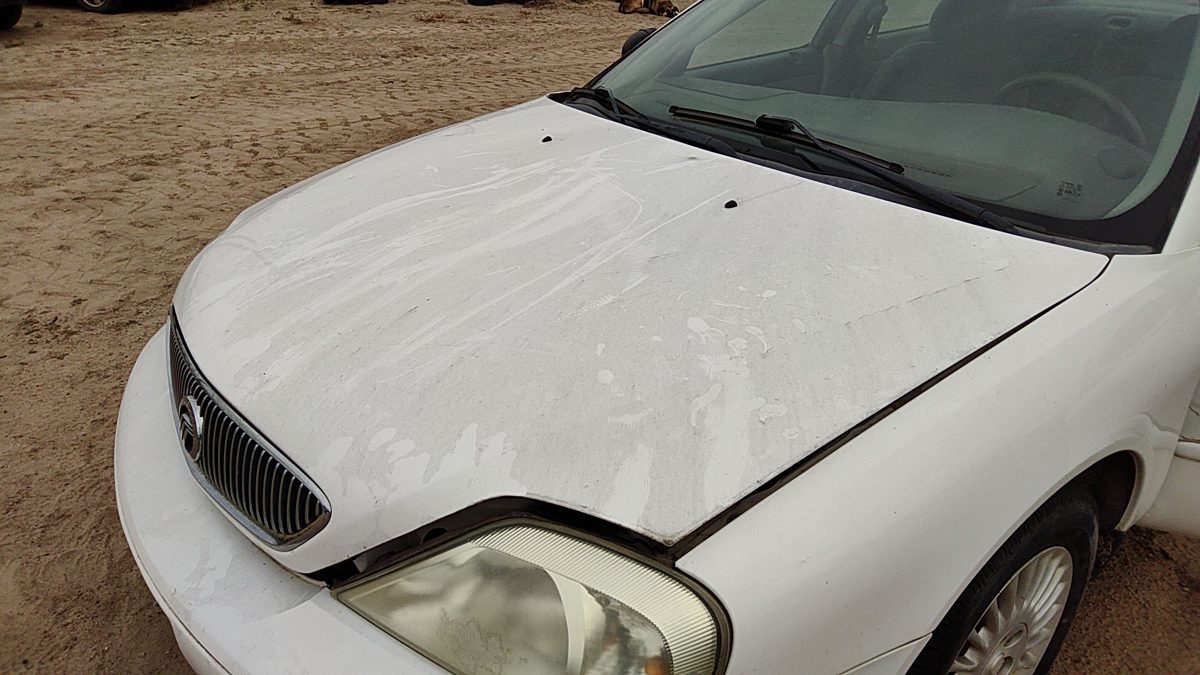 2005 Mercury Sable Hood