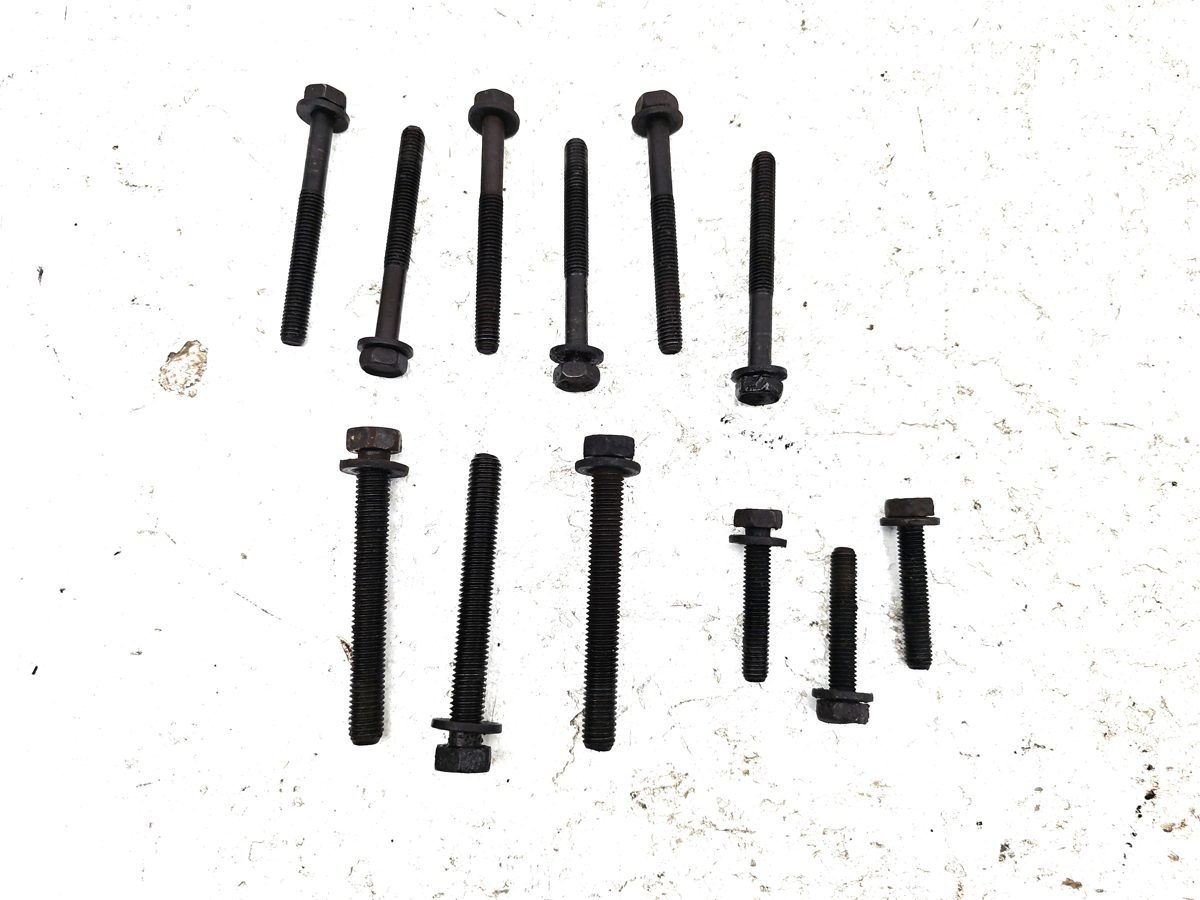 2008-2010 Dodge Caravan Engine Timing Cover Bolts Oem Hardware Set 3.3L